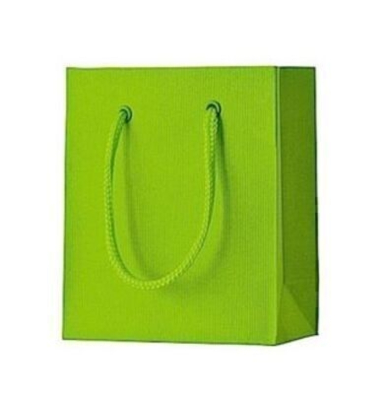 Lime Green Gift Bag - One colour Small Light Green Stewo